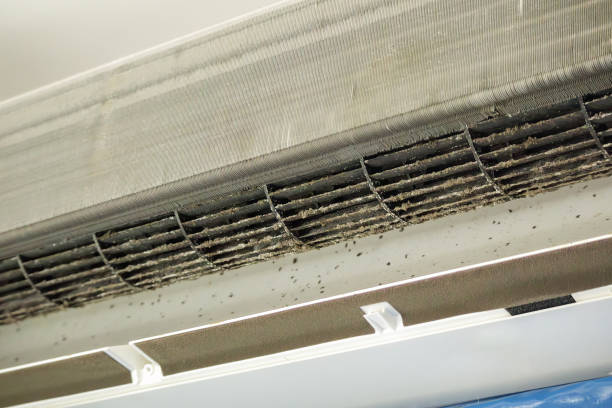 Best Residential Air Duct Cleaning  in Pittsfield, IL